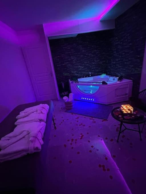 T3 5 Etoile Jacuzzi Toulouse Exterior foto